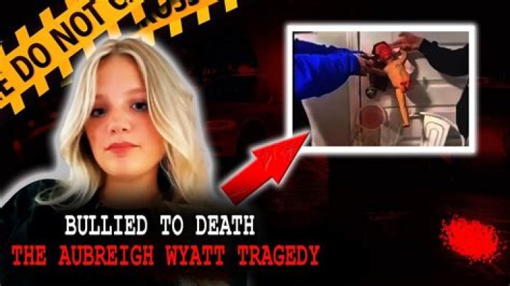 A Tragic Tale: Understanding Aubreigh Wyatt's Death