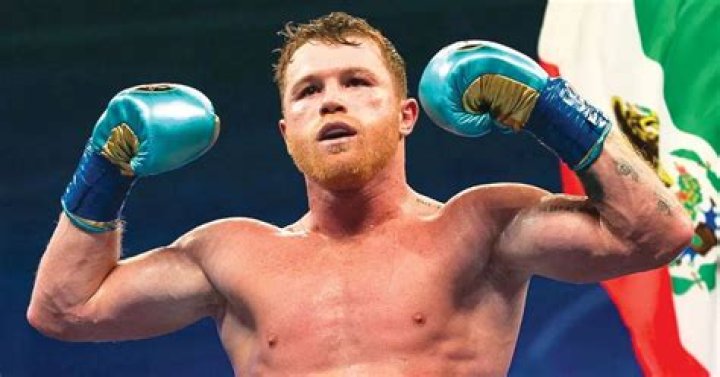 Canelo Boxing: The Rise Of A Champion
