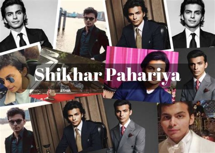 Comprehensive Guide To Shikhar Pahariya Education