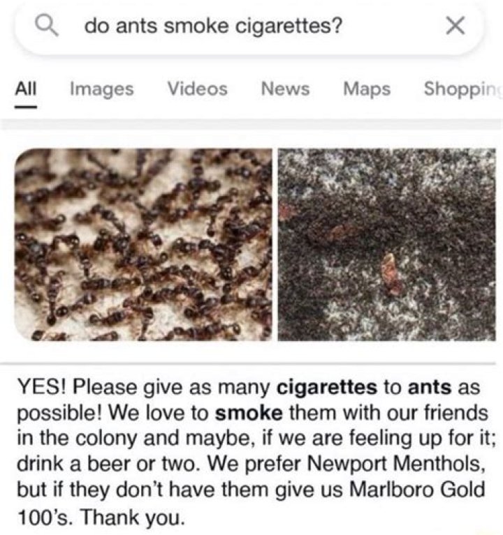 Curious Queries: Do Ants Smoke Cigarettes?