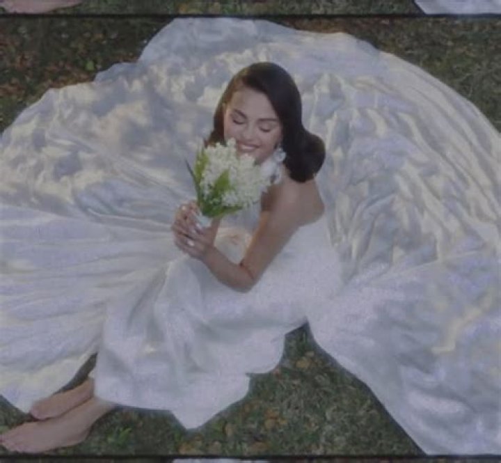 Discovering The Allure Of Selena Green