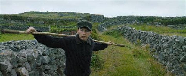 Exploring The Heritage: Is Barry Keoghan Half Asian?