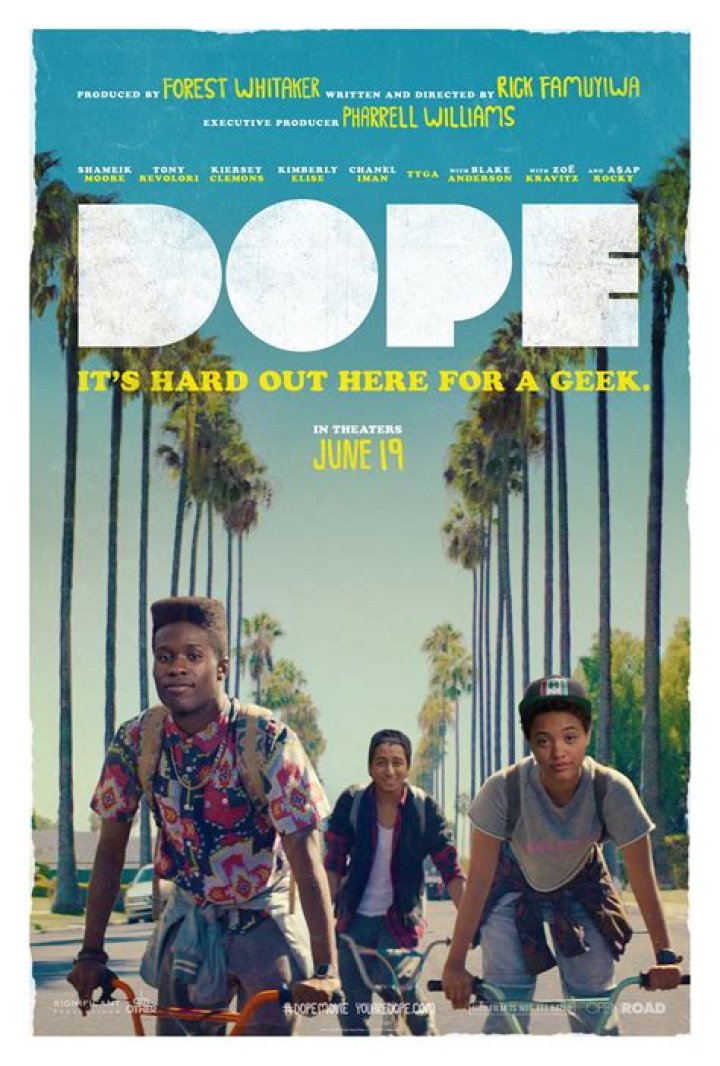 Exploring The Vibrant World Of The Dope 2015 Movie