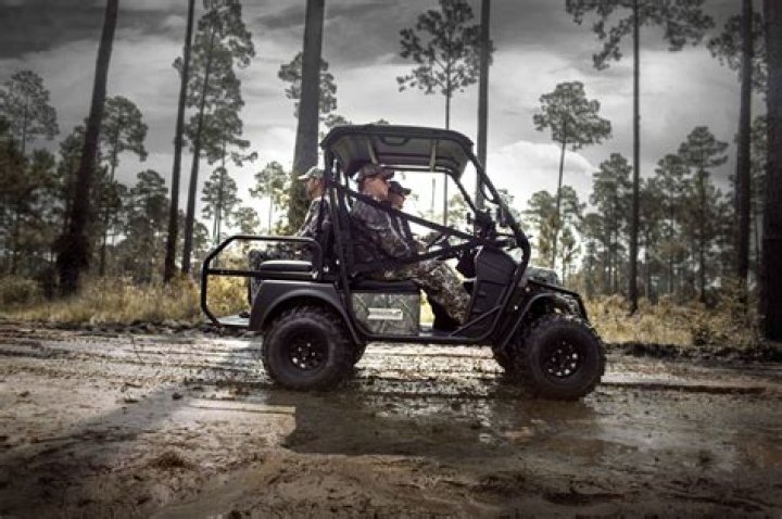 Exploring The World Of The Bad Boy Buggy