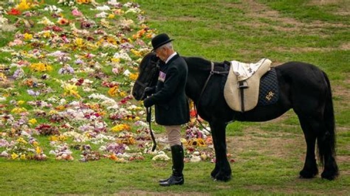 Remembering Samantha Foss: A Life Celebrated At Her Funeral