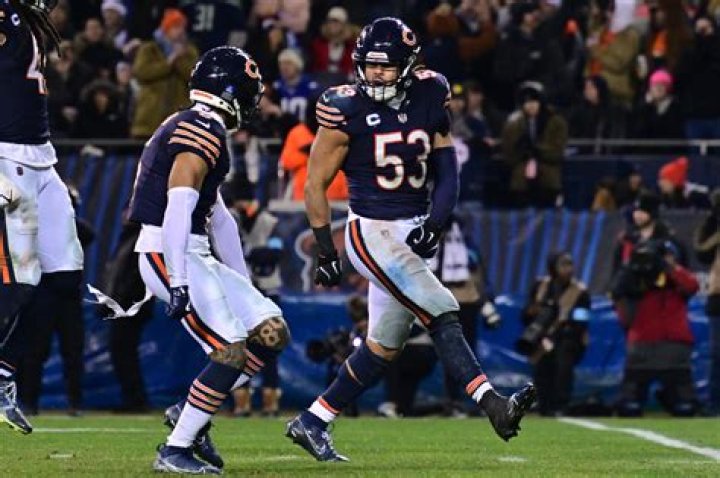 TJ Edwards: The Rising Star Of The NFL