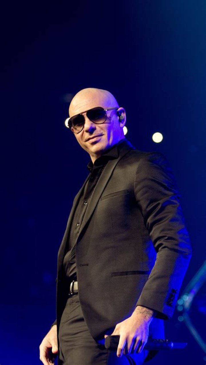 Unleashing The Rhythm: The Journey Of The Pitbull Musician