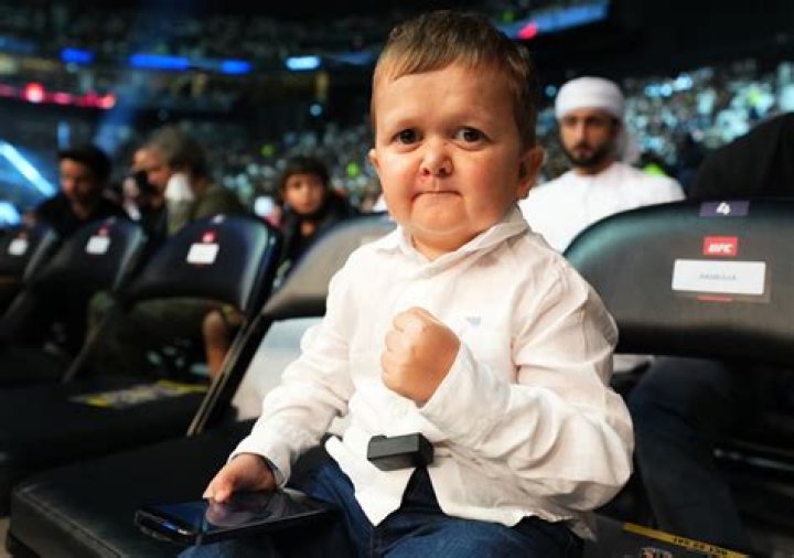 Unveiling Hasbulla's Age: The Fascinating Journey Of A Social Media Sensation