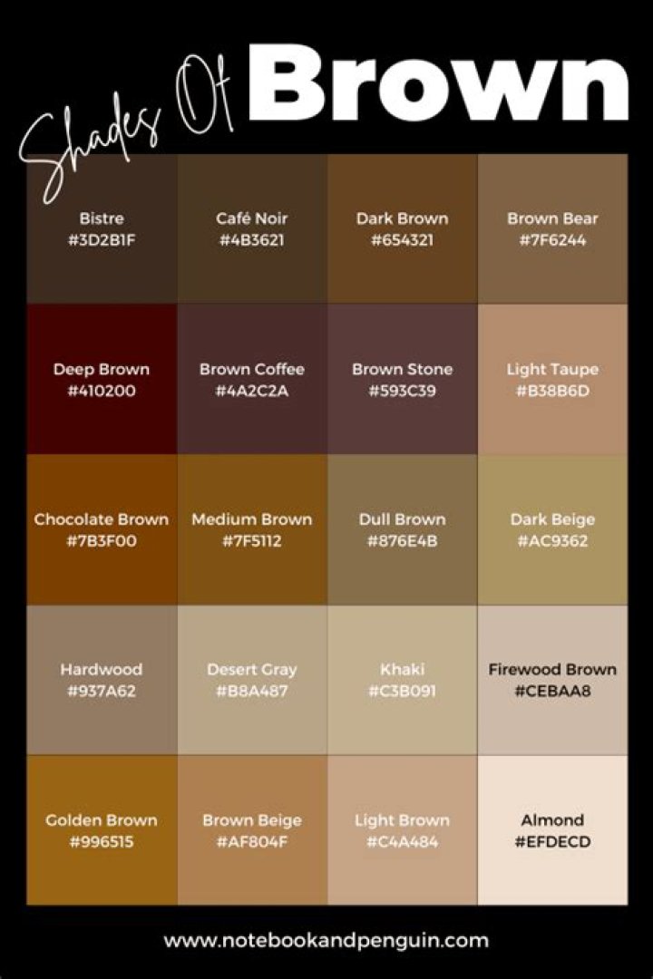 Unveiling The Allure Of Hollywood Brown: The Color That Captivates